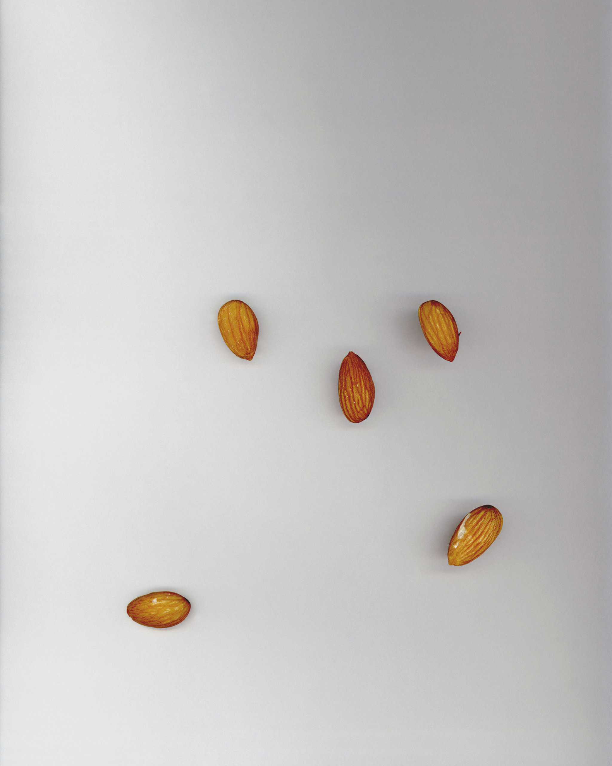 Dena Yago, Almonds, 2011