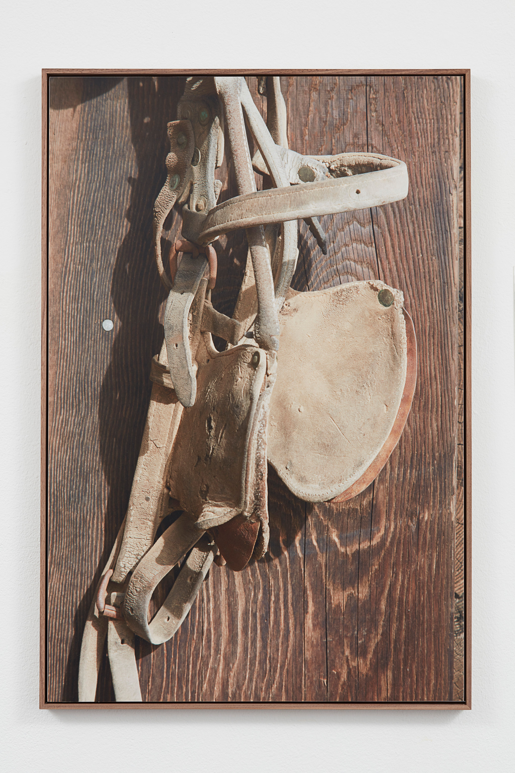 Dena Yago, Pioneertown, 2015 (Saddle), 2016