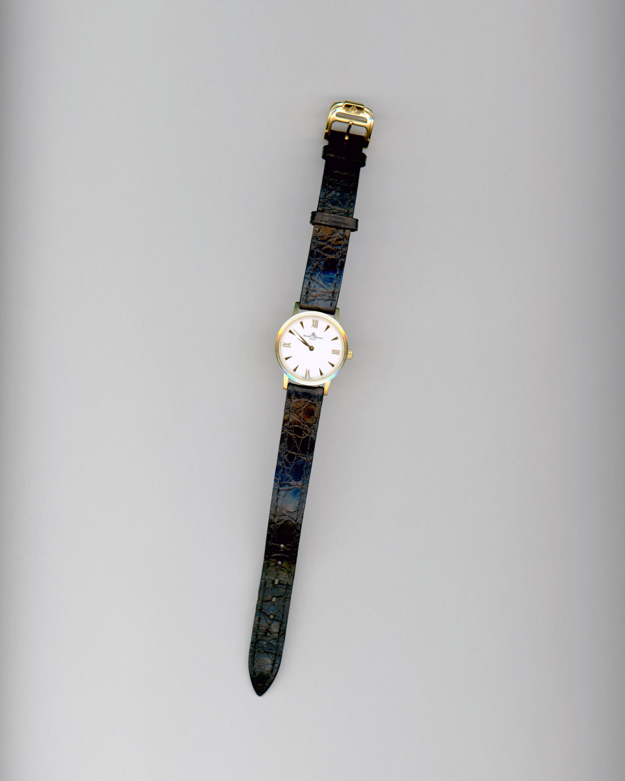 Dena Yago, Swiss Watch, 2011