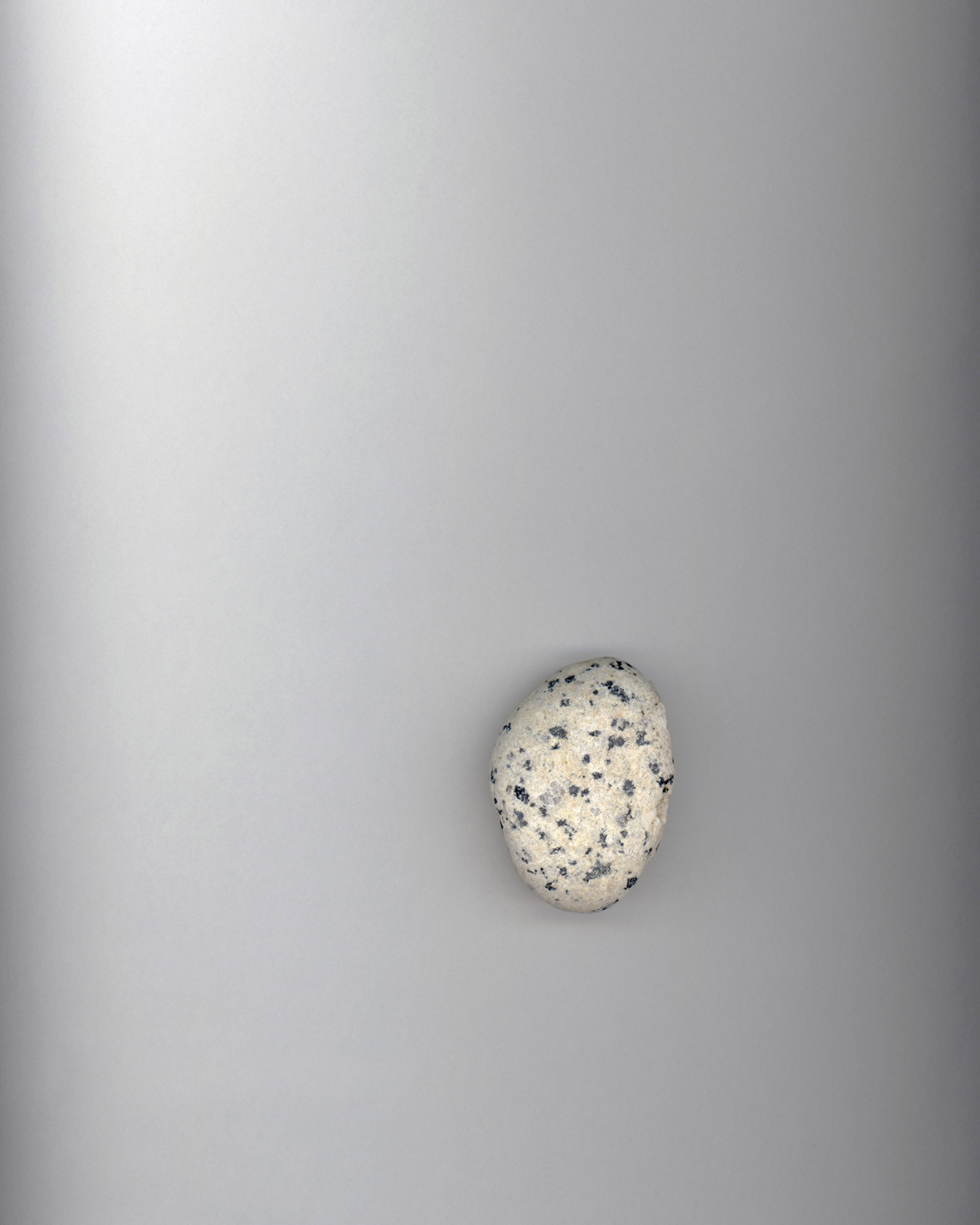 Dena Yago, Rock with Spots, 2011