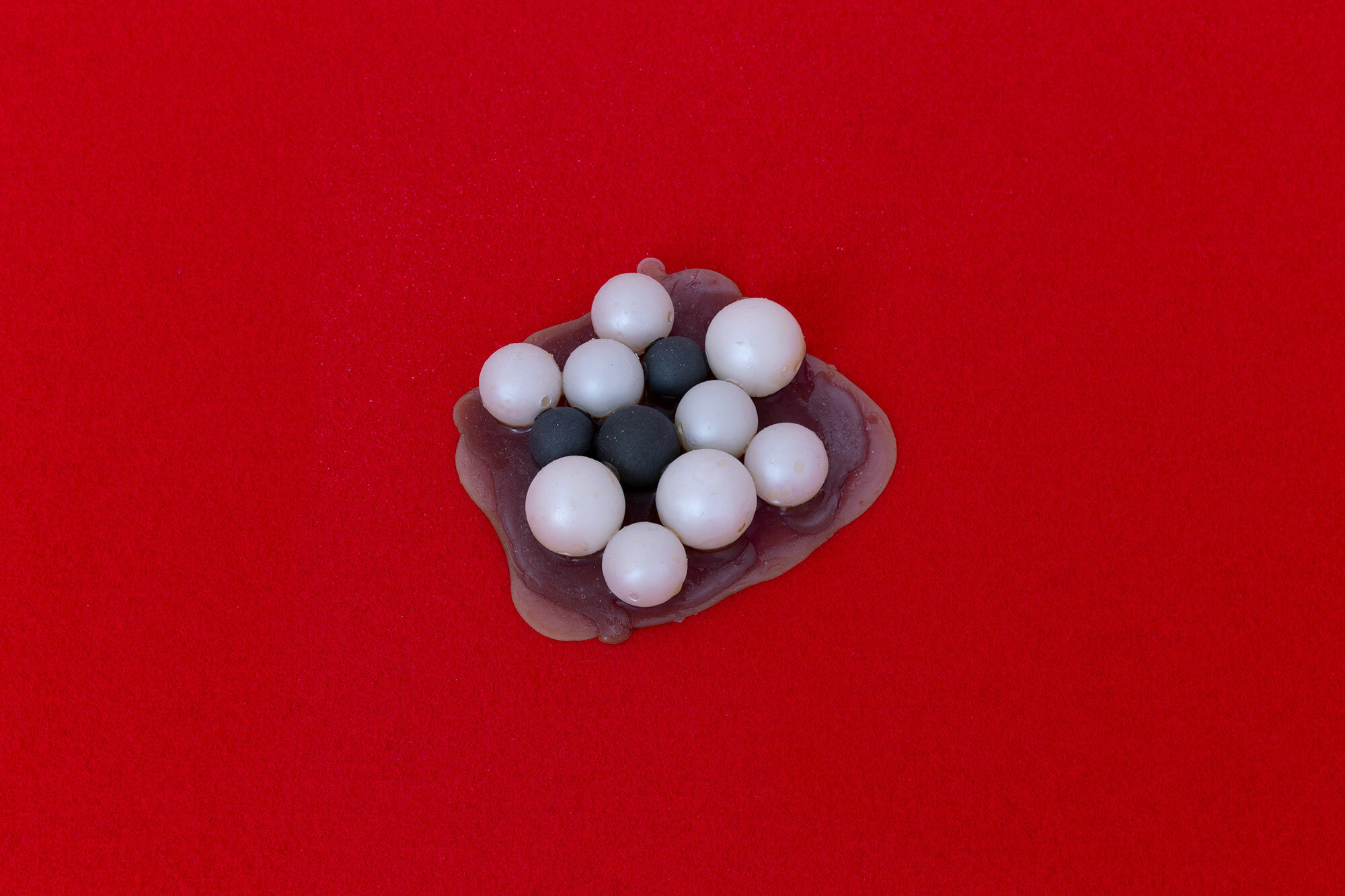 Daphne Ahlers, Eggs, 2023